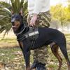 OJW Vest-Style Dog Harness and Leash Set
