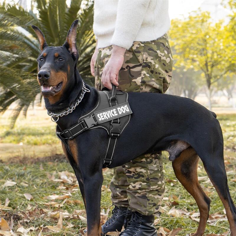 OJW Vest-Style Dog Harness and Leash Set