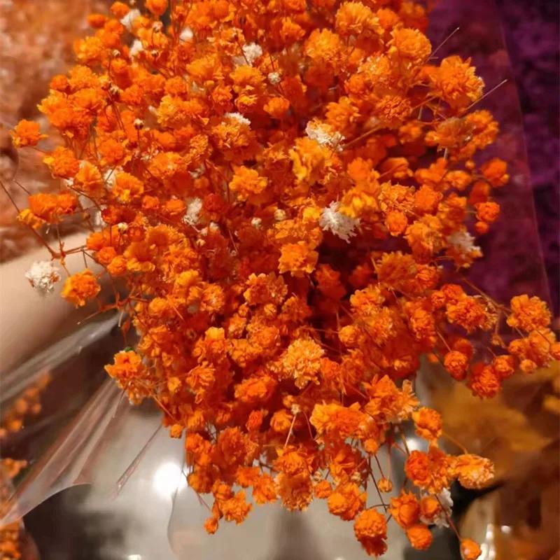 90g Dried Baby Breath Flower Bouquet Natural Dry Flowers Gypsophila Valentines Day Wedding Decoration Home Table Christmas Decor