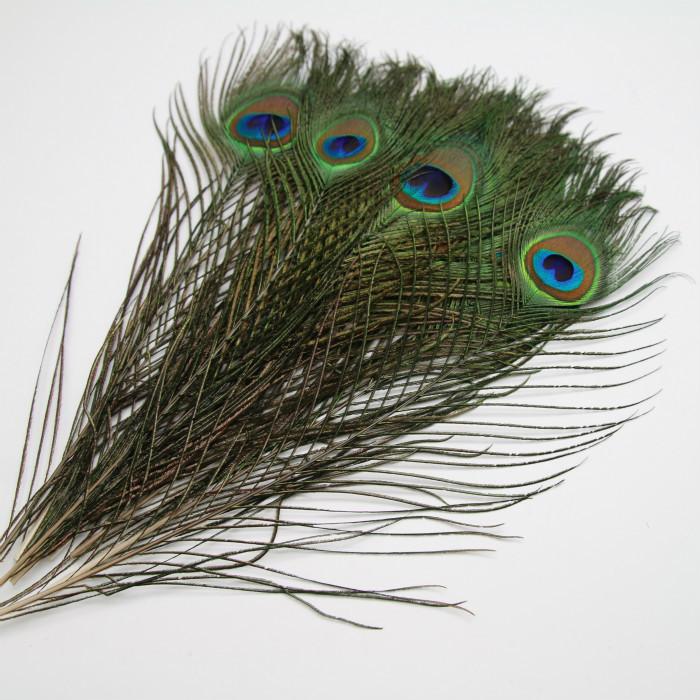 50Pcsdiy Jewelry Accessories Feather Diy Feather Headdress Corsage Hat Shoes Handicrafts Decorative Materials