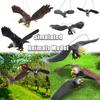Waterproof Simulated Eagle Model 3D Animals Figures Eagle Toy Cute Realistic Education Ornament
