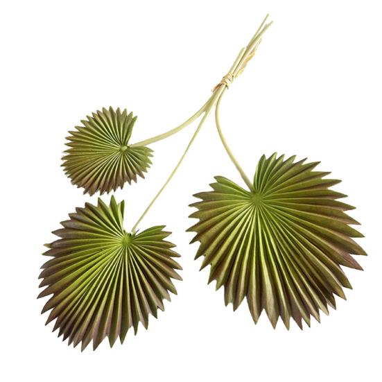 Artificial Leaf No-Maintenance Long-Lasting Freshness Realistic Fan-Shaped Leaves High-Simulation Texture Fake Tropical Leaves Home Decor