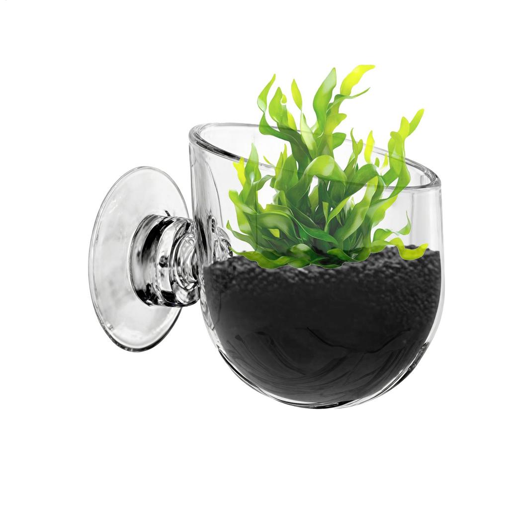 Aquarium Plant Holder Acrylic Aquatic Plant Cup Aquarium Fish Tank Glass Plant Pot With Suction Holder Feeding Container Stand