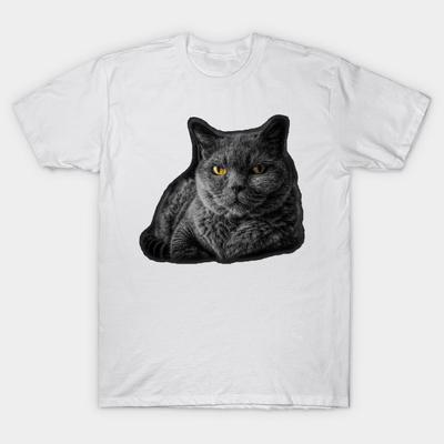 Tops – Camisetas