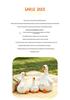 Internet Celebrity Garlic Duck Plush Toy - Cute, Creative Sofa Cushion & Adorable Doll Figure