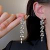 S925 Silver Long Tassel Zircon Earrings - Trendy European & American Niche Design for Women
