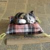 Simulated Animal Cat Cloth Pad Cat Children's Creative Gift Small Ornament Decoration Animal Ornament
