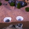 Natural Look Aquarium Cave Plastic Fish Shelter Creative Fish Tunnel  Nano Aquarium