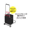 Thermos Soft Cooler 20L Gray Insulated Foldable and Box Large Capacity Model GY Bag, 5-Layer Insulation, Compact, Water-Repellent Fabric, Type,