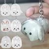 Keyrings Memorial Rabbit Hair Collector Transparent Rabbit Hair Storage Box  Backpack
