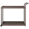 Vidaxl Bar Cart, Brown, 100X45X83 Cm, Poly Rattan