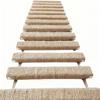 Échelle Murale pour Chat 40 Pouces Griffoir pour Chaton Structure d'Escalade pour Chat d'Intérieur Pour Parents d'Animaux Domestiques Entraîneurs Amoureux des Animaux Bureau
