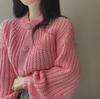 Autumn and Winter Cashmere Sweater Women's Self-Cultivation Half High Neck Cardigan Warm Knitted Sweater Women