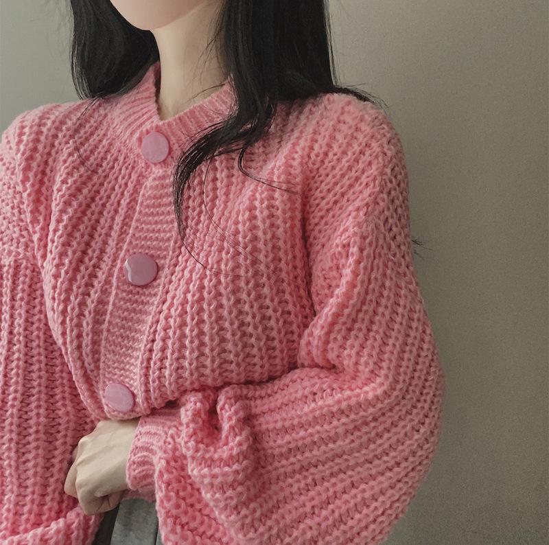 Autumn and Winter Cashmere Sweater Women's Self-Cultivation Half High Neck Cardigan Warm Knitted Sweater Women