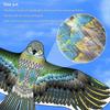 1.65M/1.45M/1.2M New Arrive Outdoor Fun Sports Eagle Kite Flying Bird Kites For Kids Or Adults Good Flying