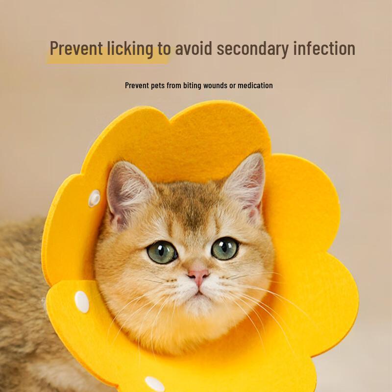 Soft Pet Recovery Collar