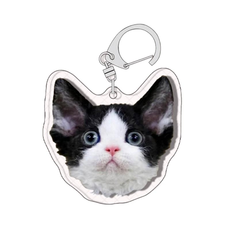 Creative Cat Shape Keychain Mini Animal Toy Keyrings Acrylic Animals Key Chain Pendant DIY Keychains Crafts Decorations
