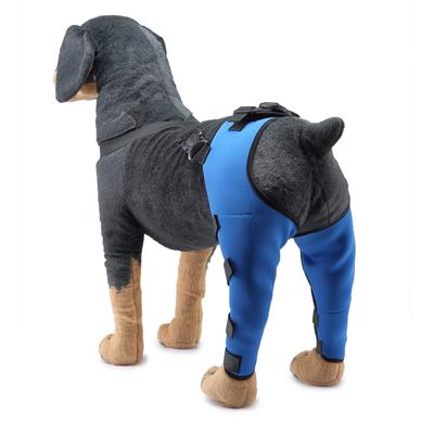 İyileşme Sıkıştırma Brace Pet Bacak Dizlik desteği Nefes Pet Diz Koruma Brace Neopren Bacak Dizlik