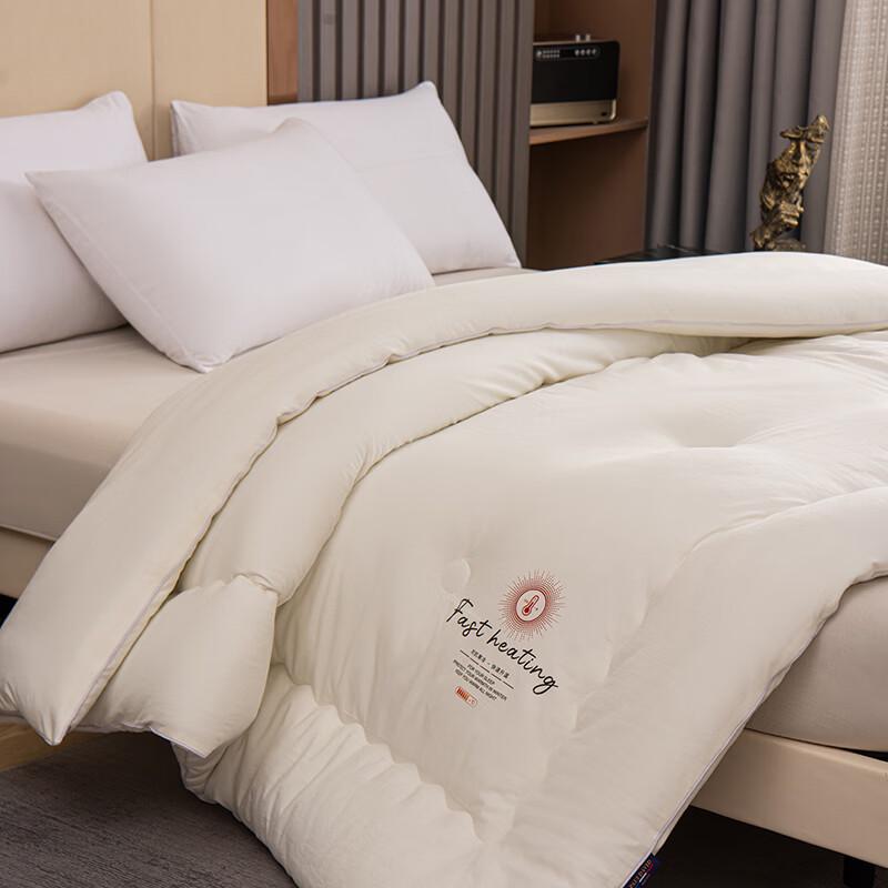 PAUI DAVID All-Season Antibacterial Duvet Insert