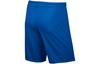 Nike Freizeitshorts Herren Königsblau AO4150-463