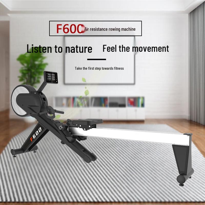 Weibu F600 Foldable Magnetic & Air Resistance Rowing Machine