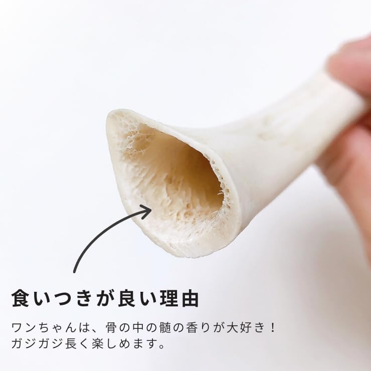 Zasshu Deer Bone Dog Toy Deer Antler Small Dogs Medium Dogs Domestic Deer Antler Dental Care Gum Deer Antler Natural Toothpaste Sika Deer Stick Bone