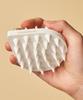 Essenhub Dual Scalp Brush
