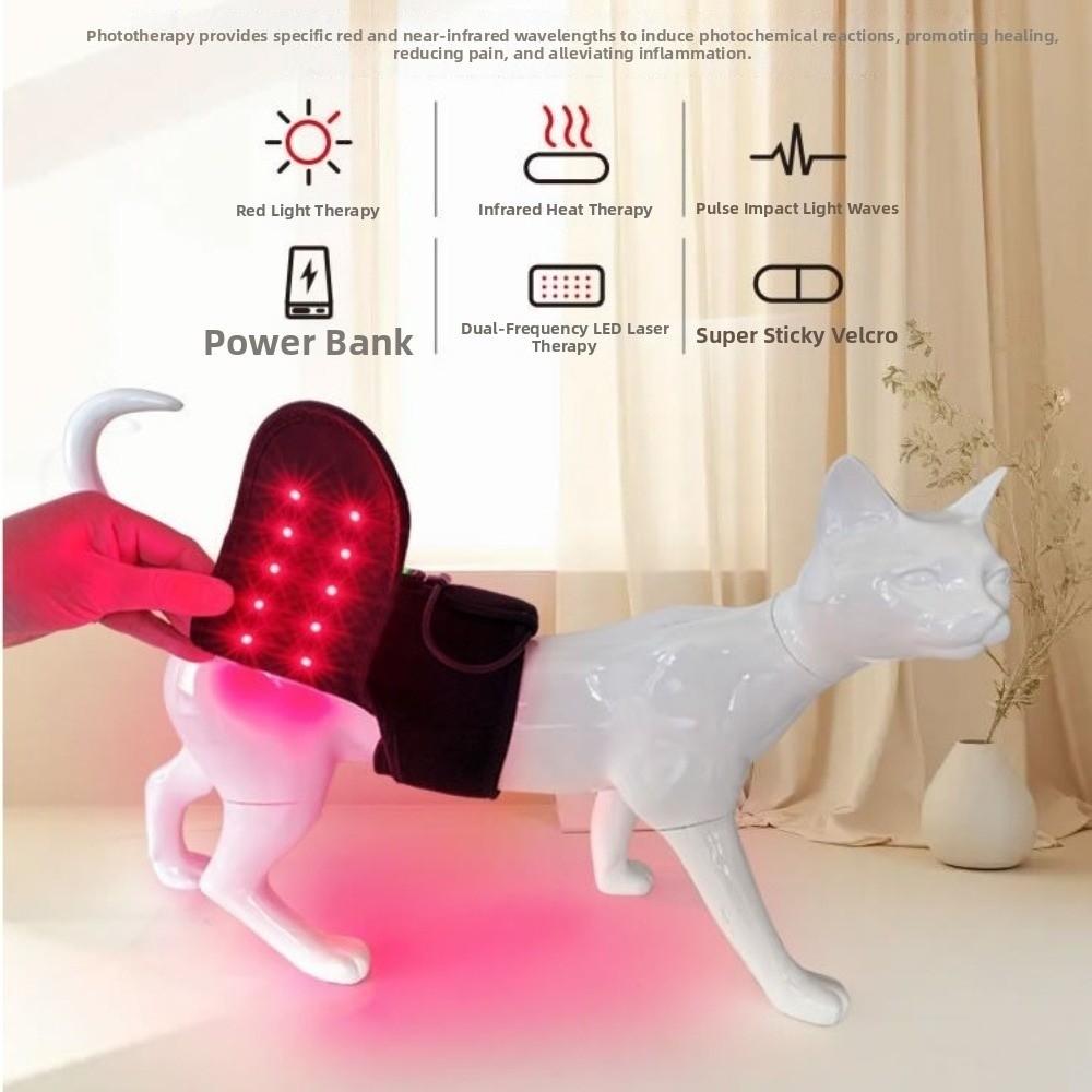 Automatic Timing Pet Red Light Recovery Device LED Light Source Promote Circulation Dog Infrared Light Knee Brace Comfortable