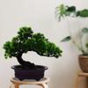 Kichvoe Artificial Pine Potted Plant, Artificial Bonsai Tree, Juniper Fake Plant, Mini Bonsai, Indoor, Small, Two-Tiered Welcome Pine, Potted Decorati