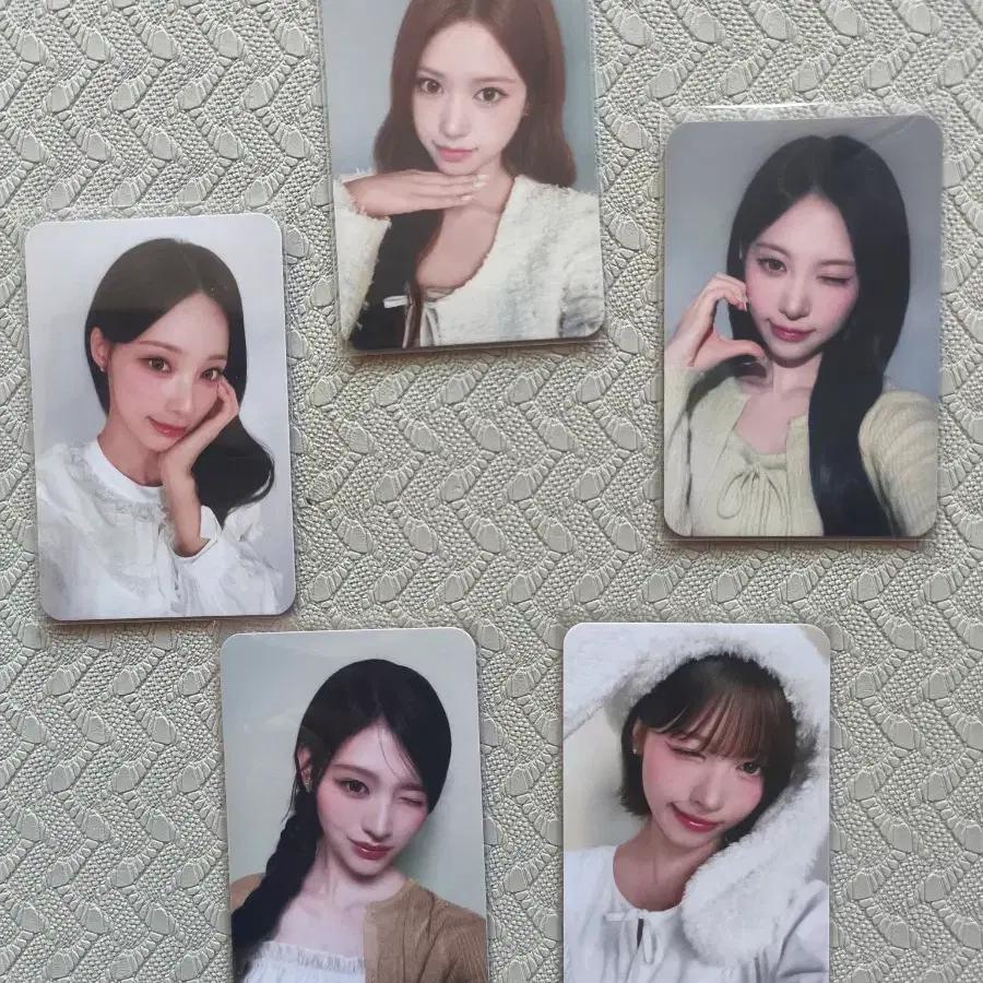 Hollys Rescue photocard+ Holder