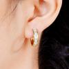 Gold Color Plated Stainless Steel Round Circle Earrings for Women Fashion Cubic Zirconia Hoop Earrings Jewelry Pendientes Mujer