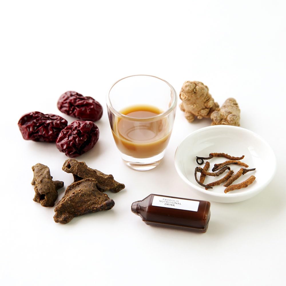 Kihoju 30 Flaschen Propolis Nihondo (Yaku Nippondo)