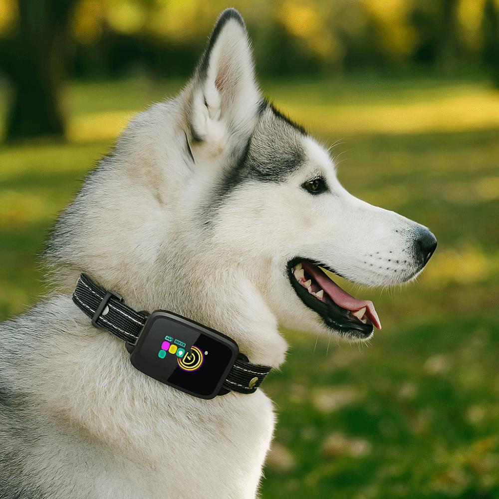 Type-C Rechargeable Dog Barking Collar Color Screen Vibration Stop Bark Collar  Bark Control
