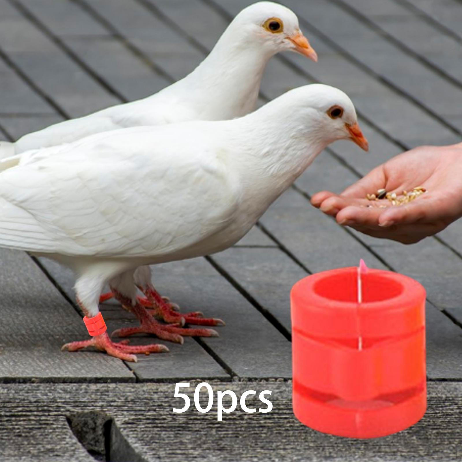 

50 колец для идентификации птиц 9 мм для голубей, легко открываются, легкие и универсальные, ПП красный