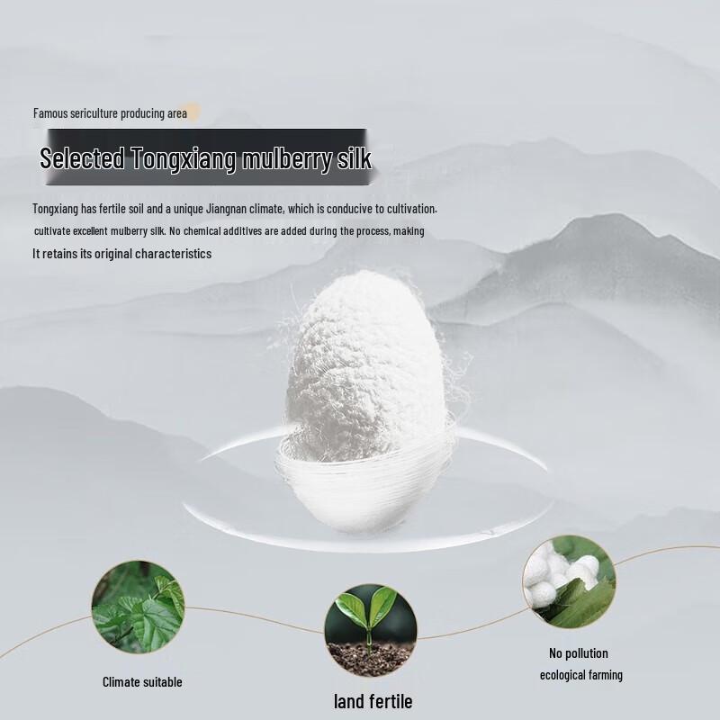 Mercury Home Textiles Mulberry Silk Quilt