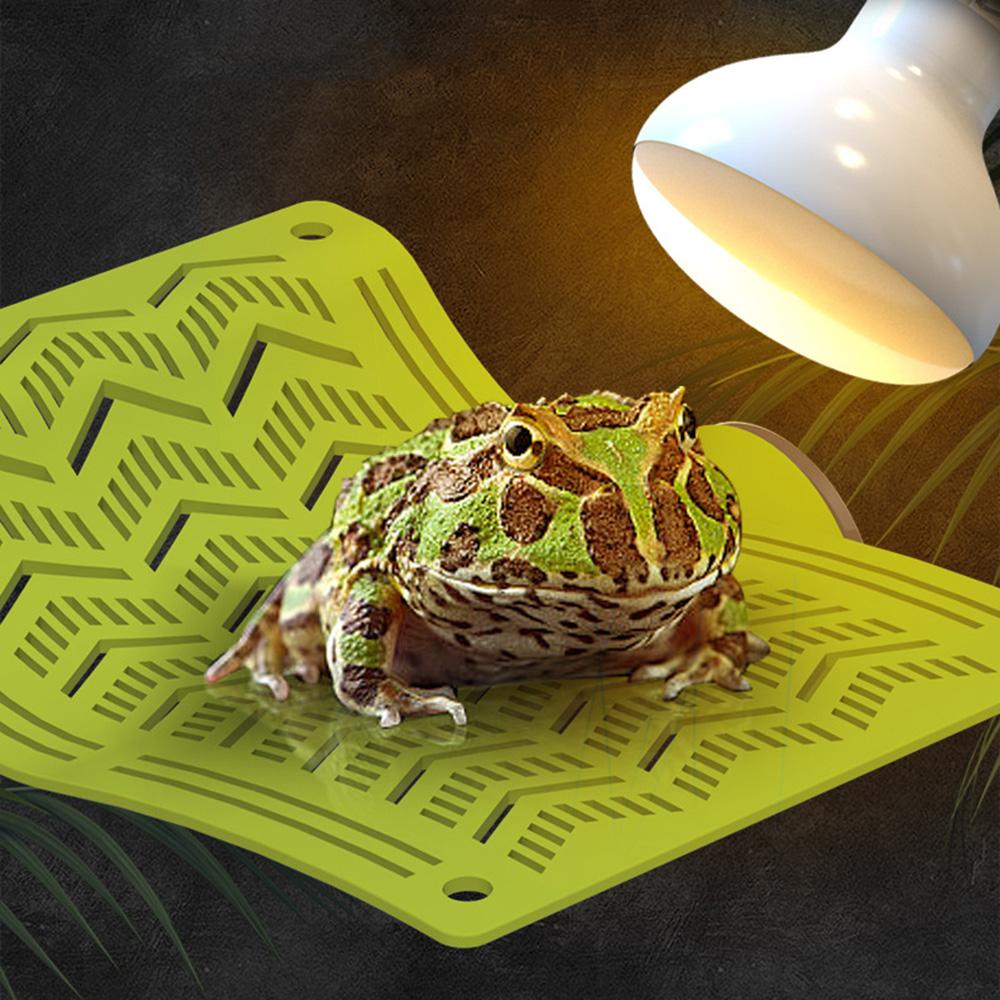 Suction Cup Lizard Climbing Hanging Bed with Rope Sun Mat Hammock Pet Cradle Crawler  Frogs