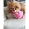 Cloud Pot Sniffing Bag Long-lasting Pull Out Bag Nose Work, Sky