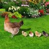 Hen and Chick Decoration Rooster Garden Chicken Lawn Insert Signs Printing Sculpture Ornaments Garden Stakes Double-sided