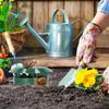 1/20pcs Snail Trap Catcher Garden Slug Cage Snail Cage Slug Pest Repeller Reusable Plastic Snail Trap Plants Farm Protector Tool