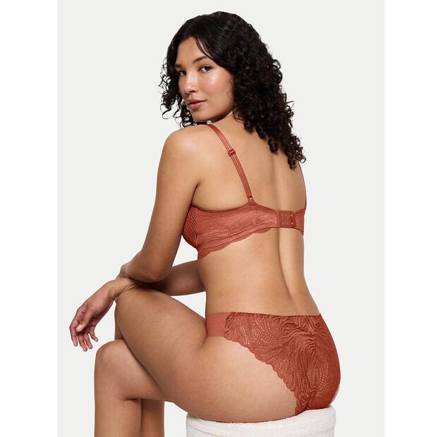 Triumph Pretty Classic Briefs