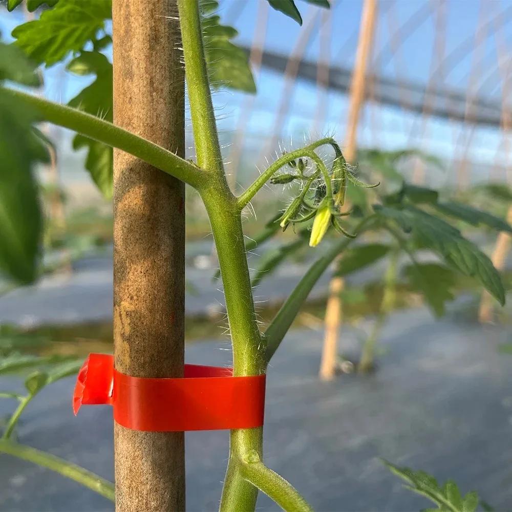 Plant Tying Machine Gardening with Adhesive Tape Tapetool Tomatocucumber Binding Machine Elbow Binding Machine Machine Gardening