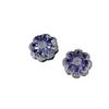 Sterling Tanzanite Flower Stud Earrings Women Hypoallergenic Daily Wear Elegant Minimalist Jewelry