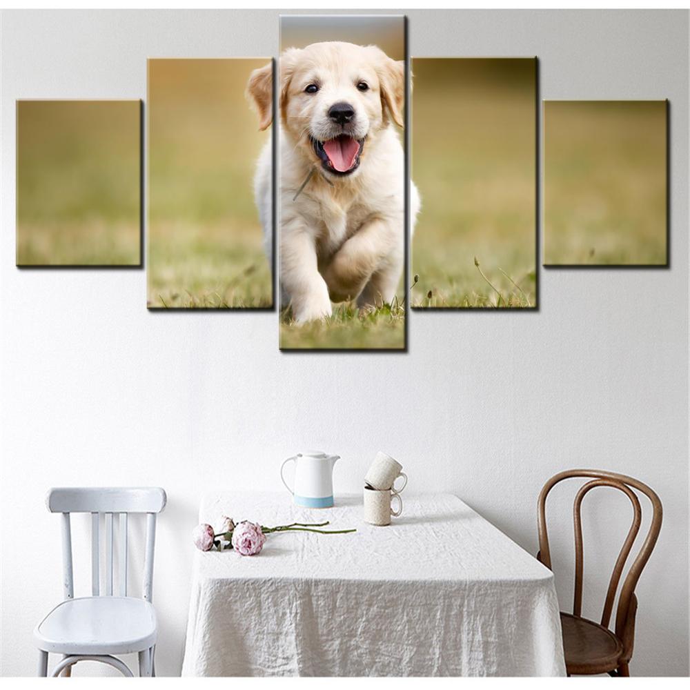 5 Pieces Canvas Wall Arts Poster Painting Golden Retriever Puppy Aburst Of Joy In Modern Home Decor For Living Room Artwork