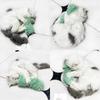 Plush Pillow Cat Toys Catnip Sounding Paper Pet Interactive Selfhealing Chew Toy Cat Supplies Hierba Gatera Practical Household Product