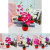 Phalaenopsis Decorative Faux Plant With Durable Silk And Plastic For Home Decor