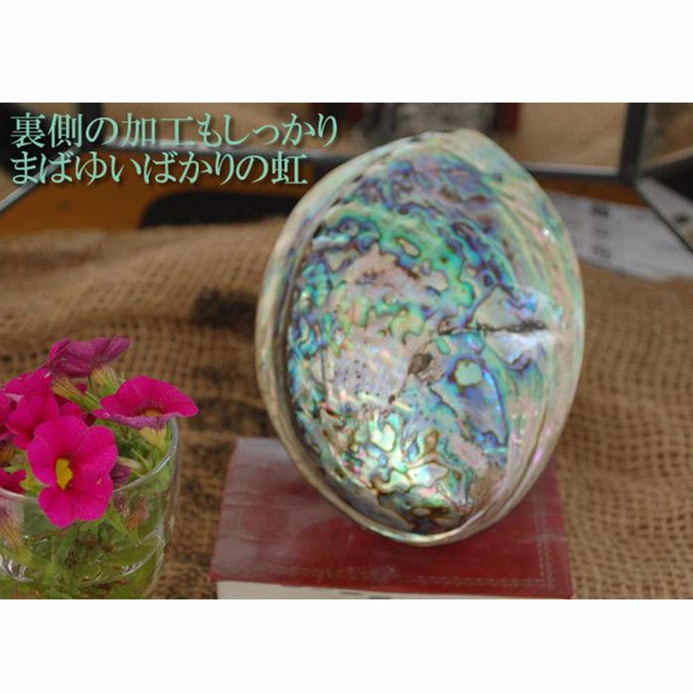 New Zealand Abalone Shell Smudging Dish, Accessory Case, and Crystal Container. Essential for White Sage Purification.