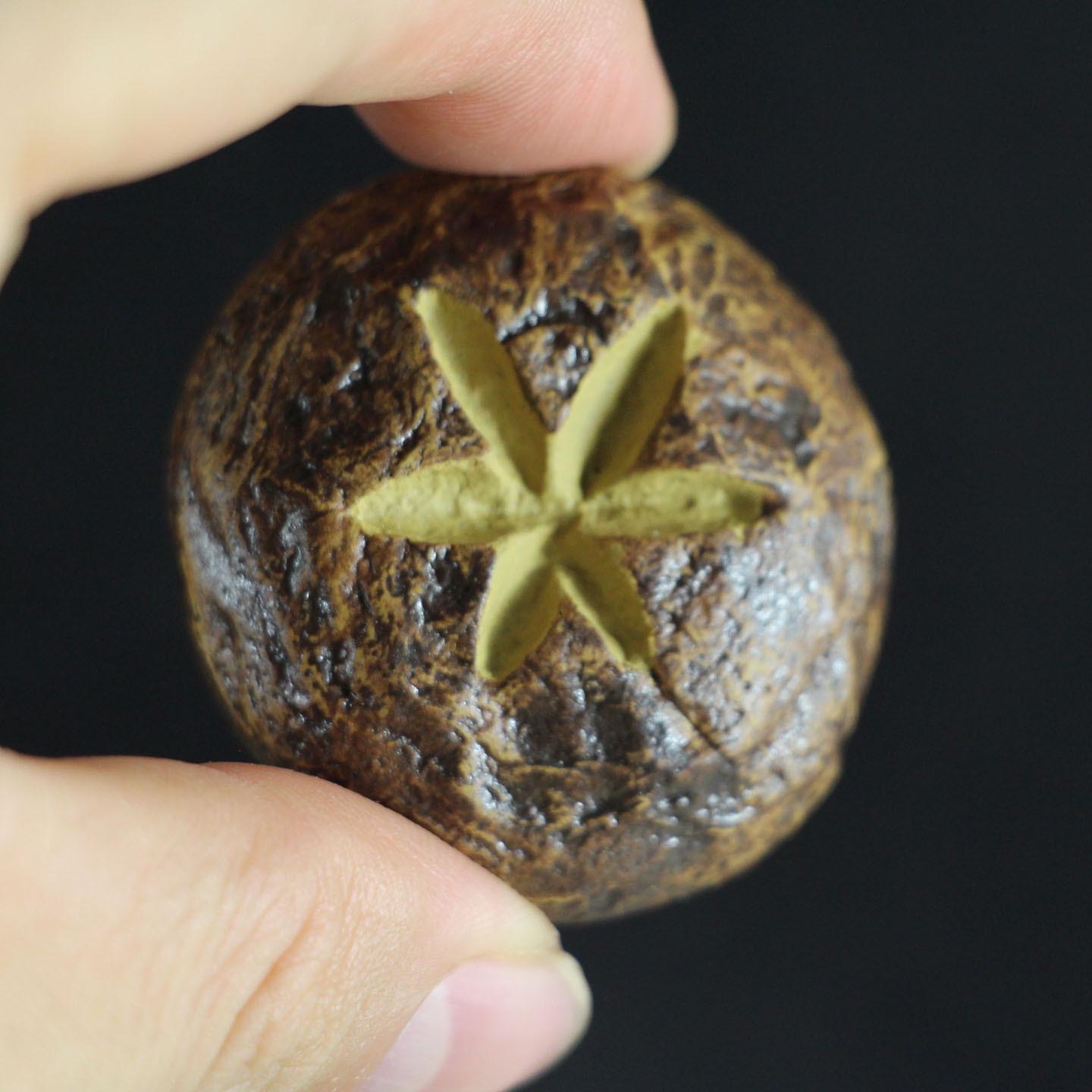 Yixing Handmade Purple Clay Mushroom Tea Pet Sculpture - Cute, Decorative, and Nurturable Kitchen Ornament. No