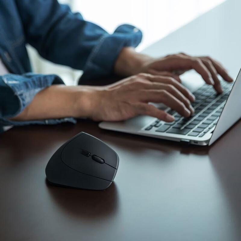 SANWA Ergonomic Vertical Mouse