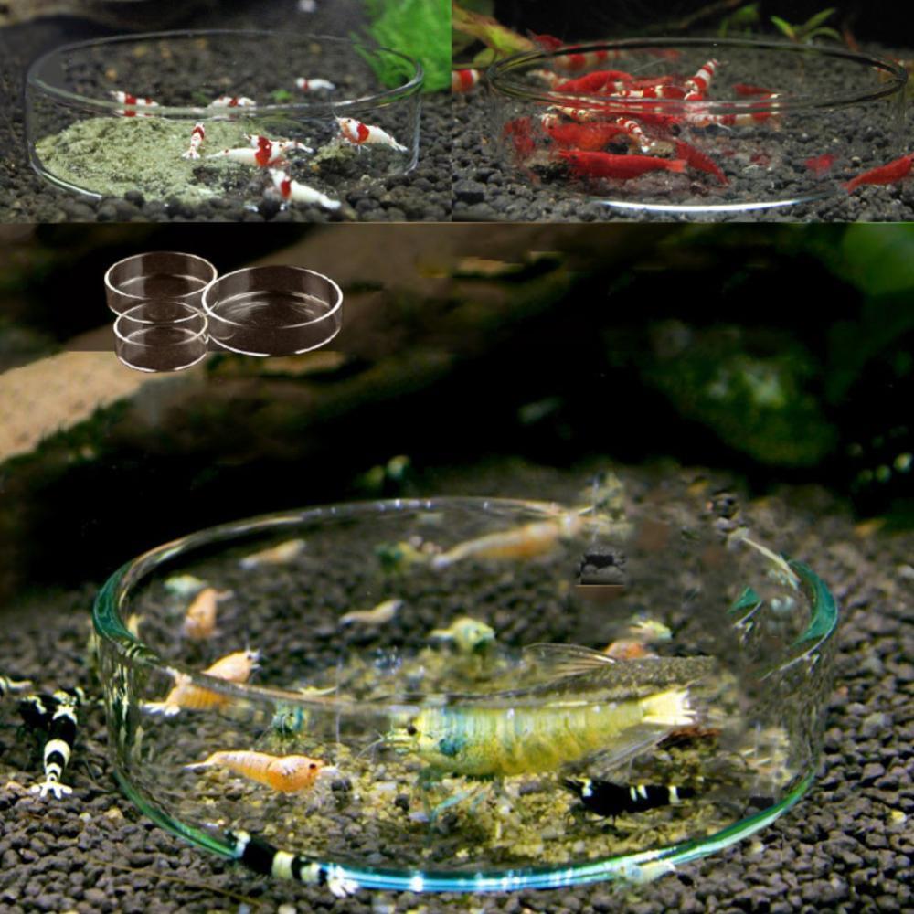 Durable for Fish Tank Acrylic Fish Feeding Bowl Fish Feeding Dish Shrimp Feeder Shrimp Food Box