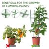 50Pcs Plant Trellis Connecting Buckles Climbing Pipe Support Fixing Tool Reusable Fixing Clamp for Garden Plant Connector